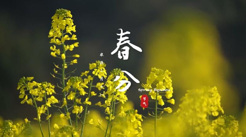 春水初生，春林初盛